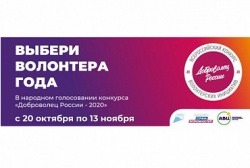 Голосование за лучшие волонтерские проекты в сфере благоустройства конкурса «Доброволец России» продлится до 13 ноября